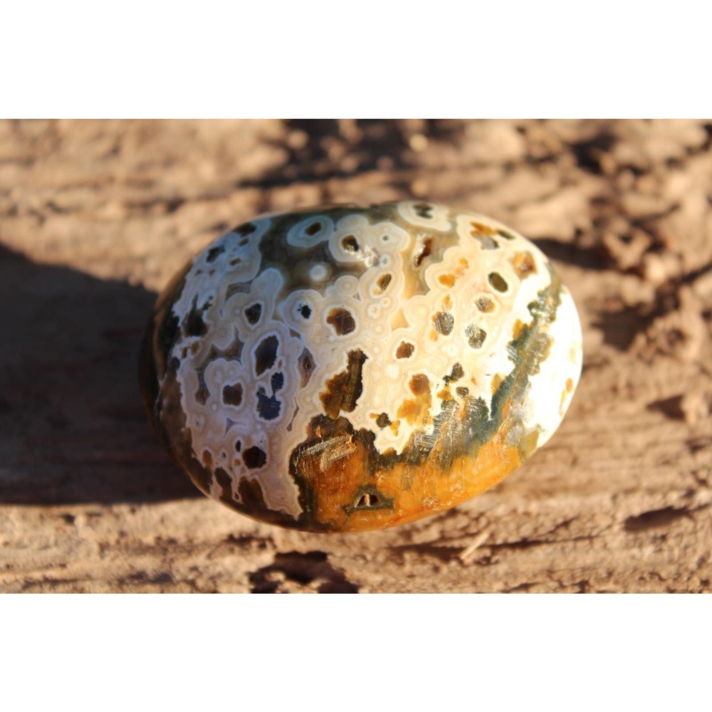 Orbicular Ocean Jasper Palm stone